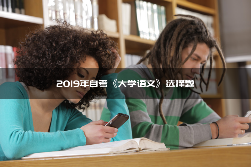 2019年自考《大学语文》选择题